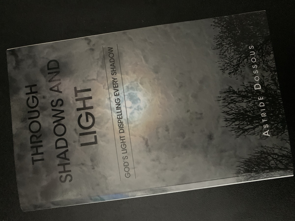 Through Shadows and Light book cover